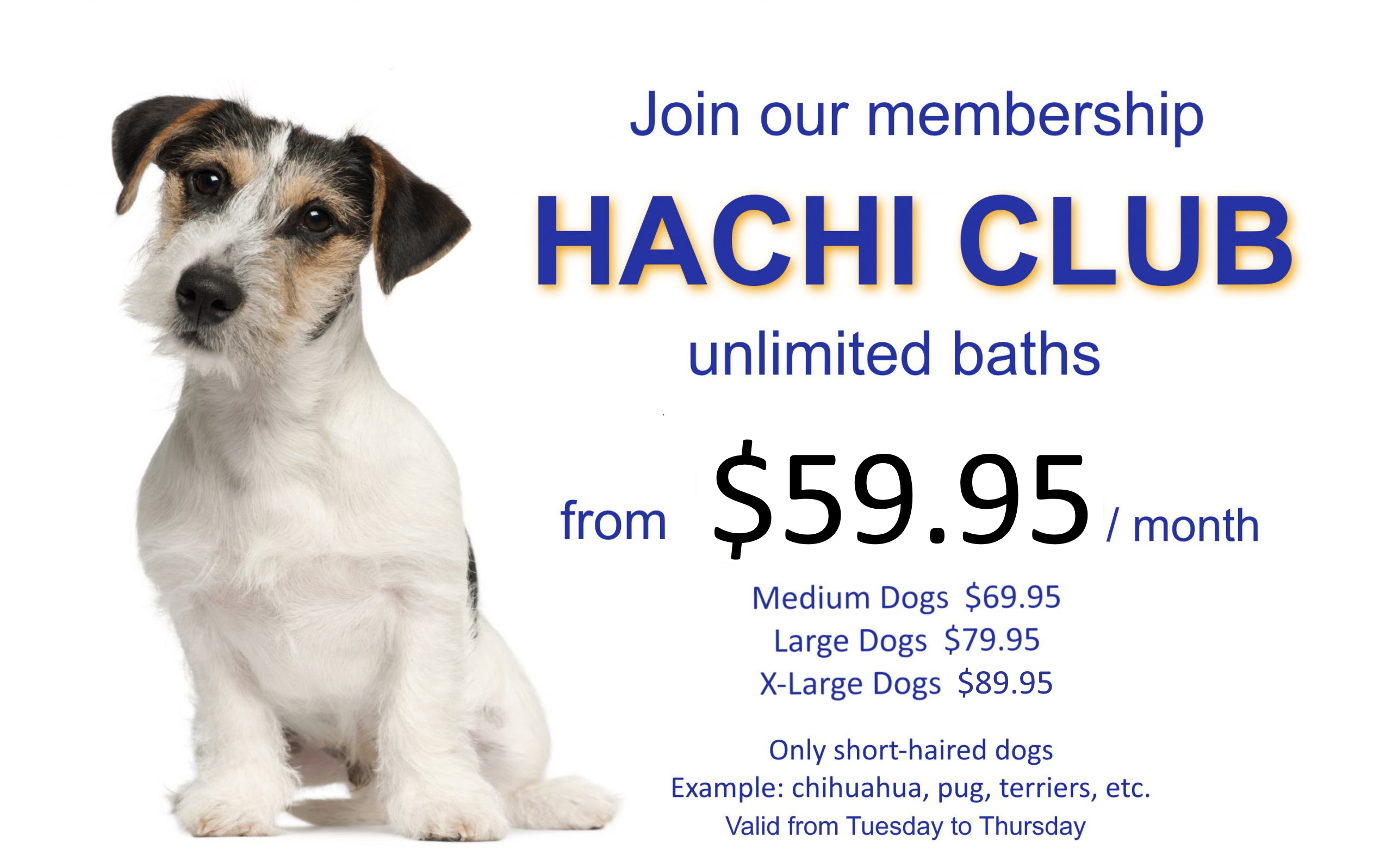 Unlimited Bath Membership