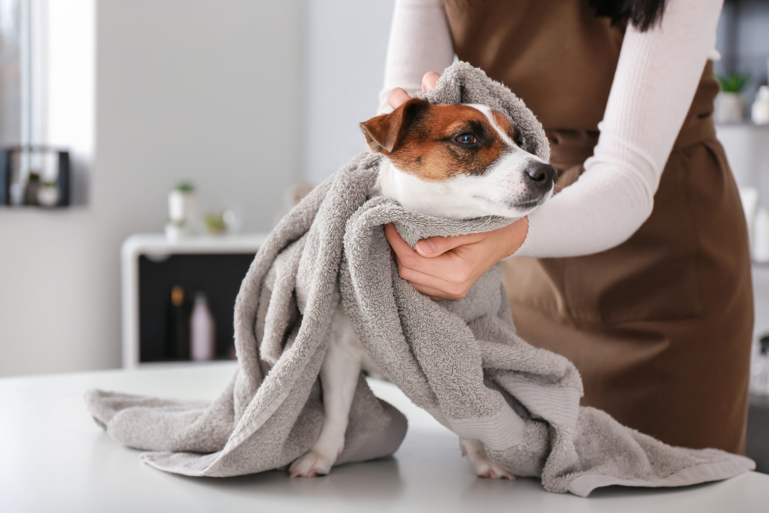 dog bath membership