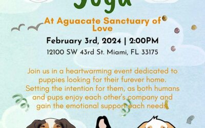 Unleash Your Inner Peace: Puppy Yoga at Aguacate Sanctuary of Love