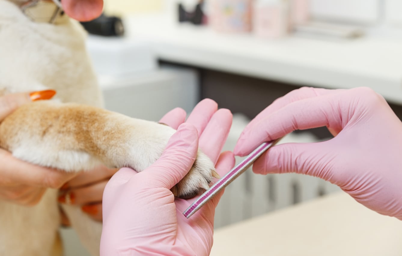 full nail trimming