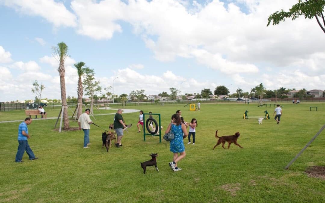 Exploring Kendall’s Best Dog Parks: Unleashing the Fun – 2024