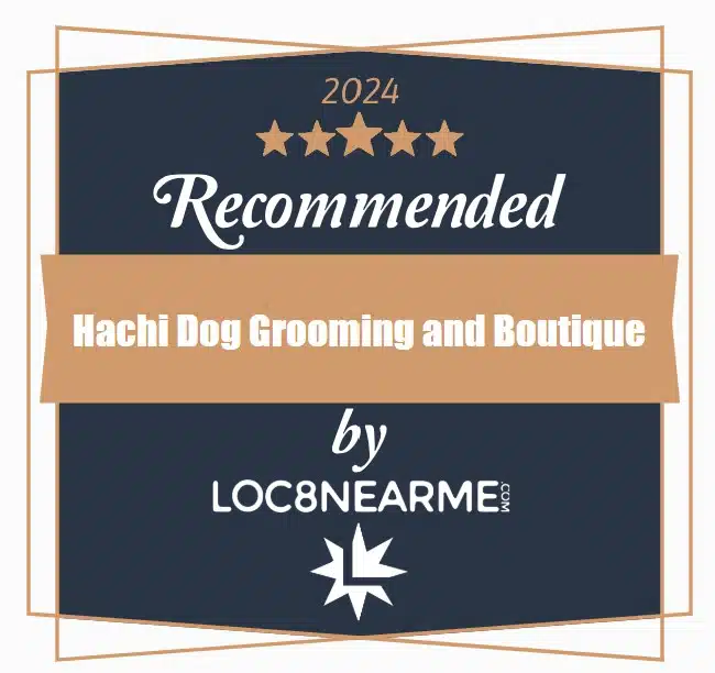 locnearme award 2024