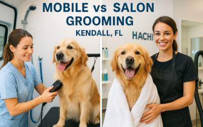 Mobile vs Salon Grooming: What’s Right for Your Pup in Kendall, FL?