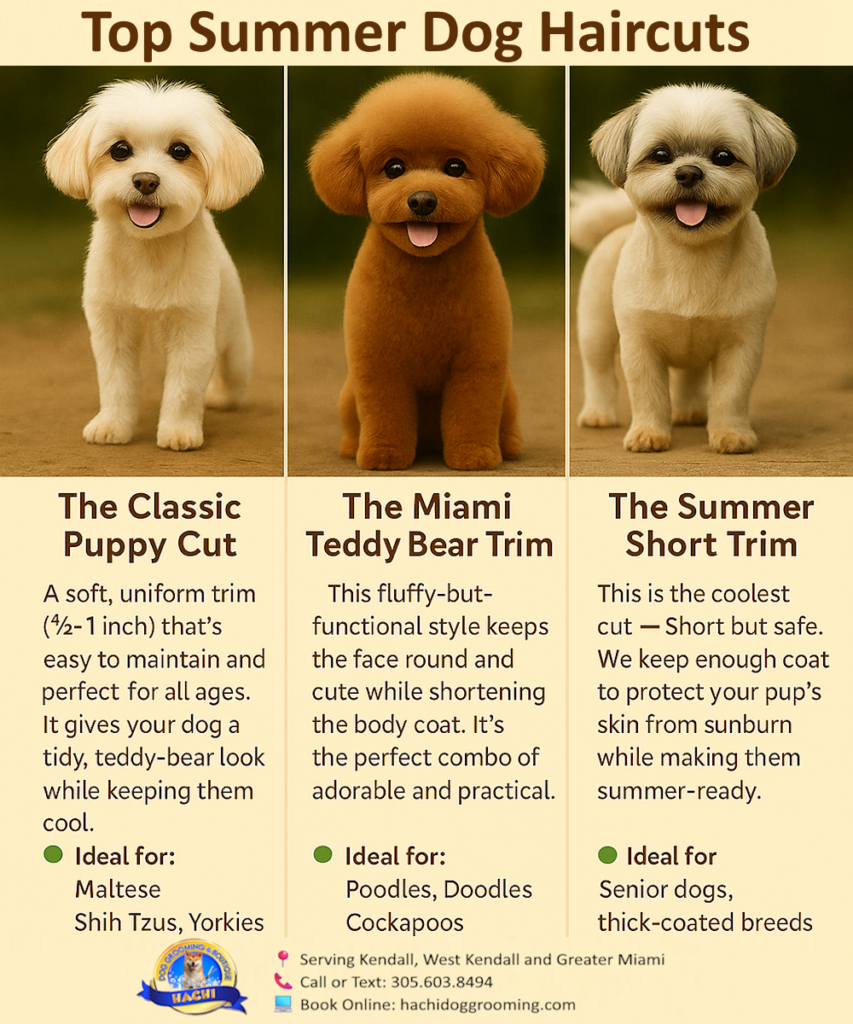 🐾 Keep Your Pup Cool This Summer: Top 3 Dog Haircuts in Kendall, FL 7 Pinnable infographic of top summer dog grooming styles by Hachi Dog Grooming – Miami FL – formatted for Pinterest with bright visuals and breed-specific recommendations