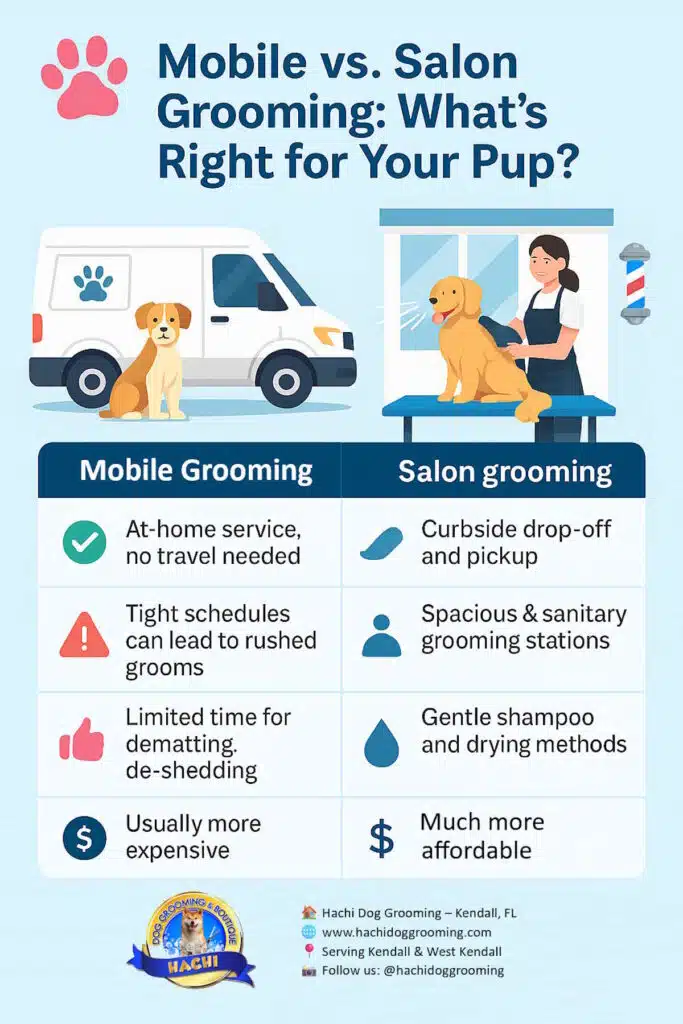 Mobile vs Salon Grooming: What’s Right for Your Pup in Kendall, FL? 4 Mobile vs Salon Grooming: What’s Right for Your Pup in Kendall, FL?